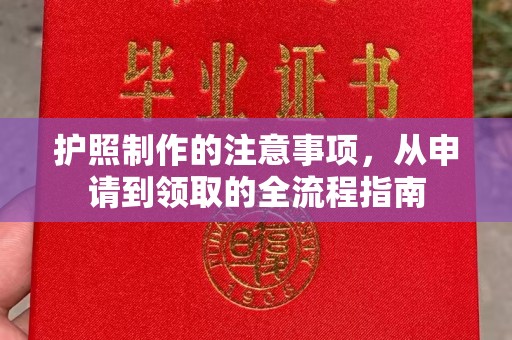 隆子护照制作的注意事项，从申请到领取的全流程指南
